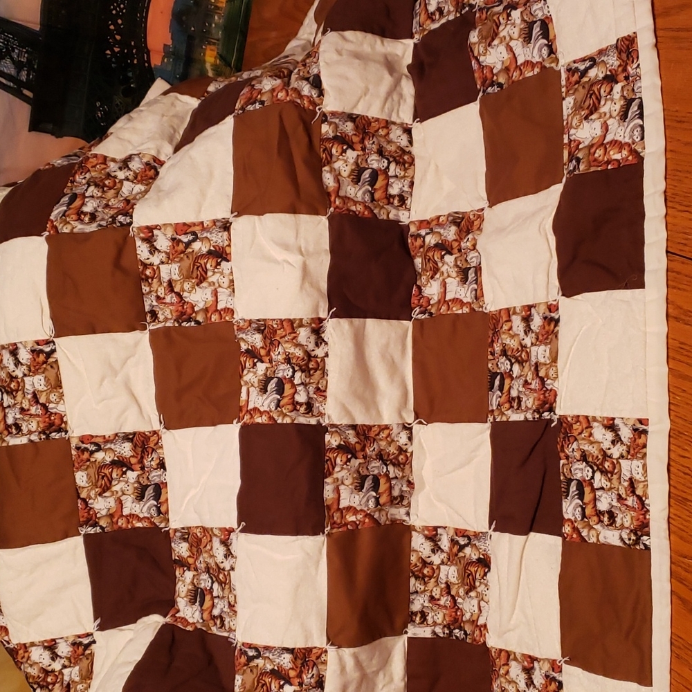 3/15🛍5/25cat  Quilt 34x36